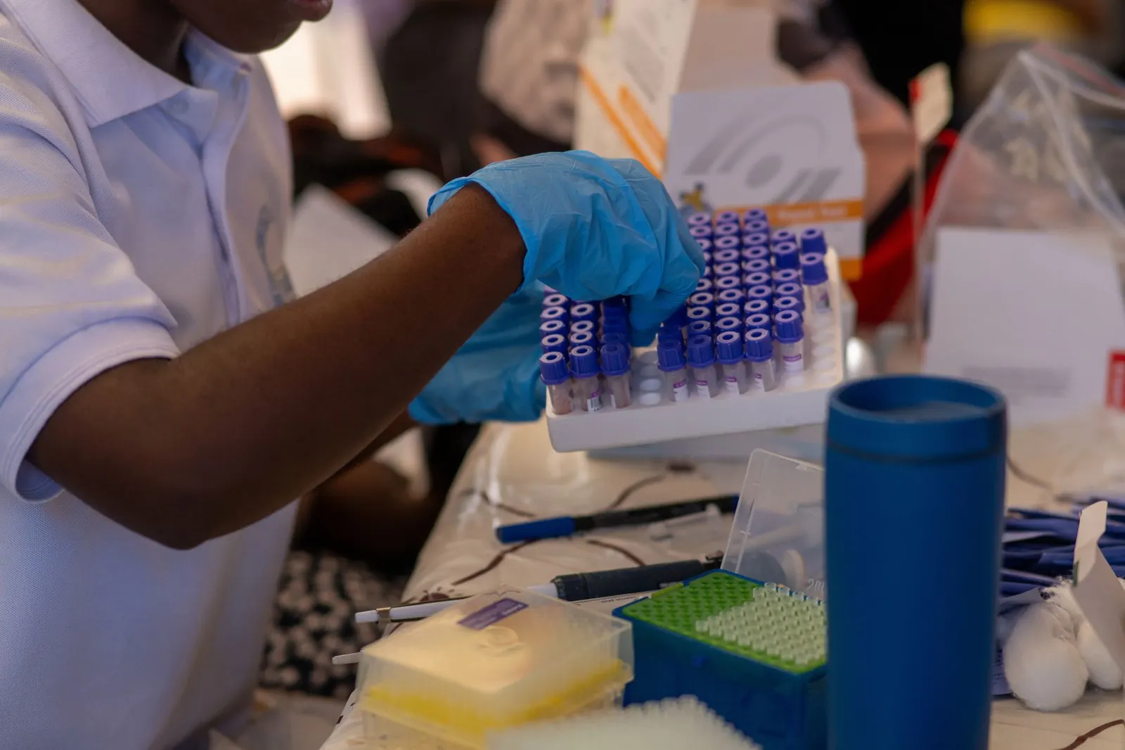 Lab worker in blue gloves sorting rows of blood sample tubes in a rack